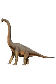 DINOSAURIO BRAQUISAURIO SURTIDO